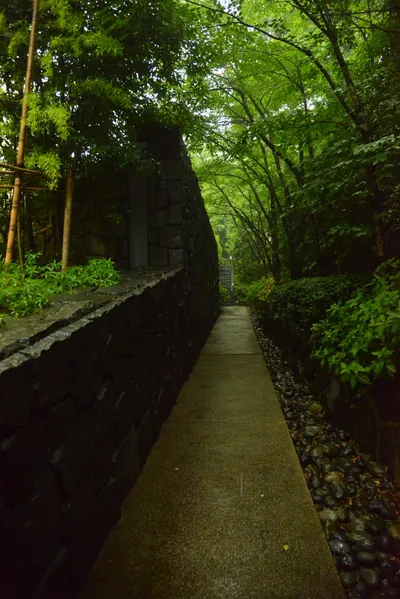 DSC_3185 (Large).JPG